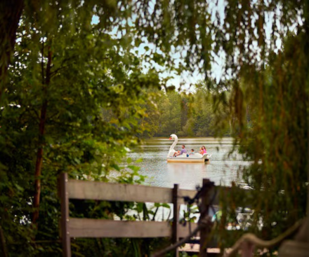 Pedalo