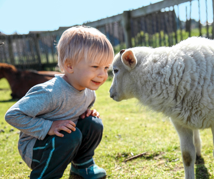 The Children's Farm